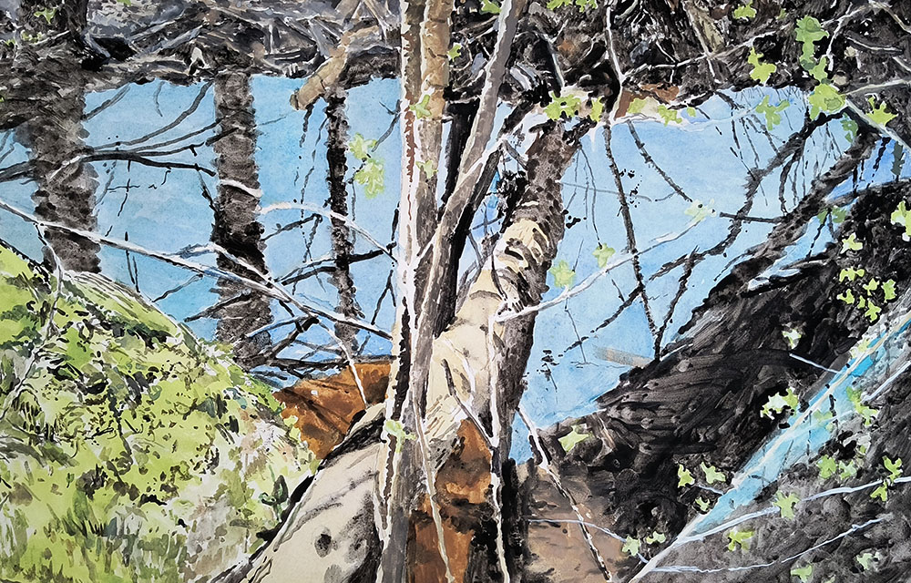 Log, Stream. Watercolor, 11"x 15"