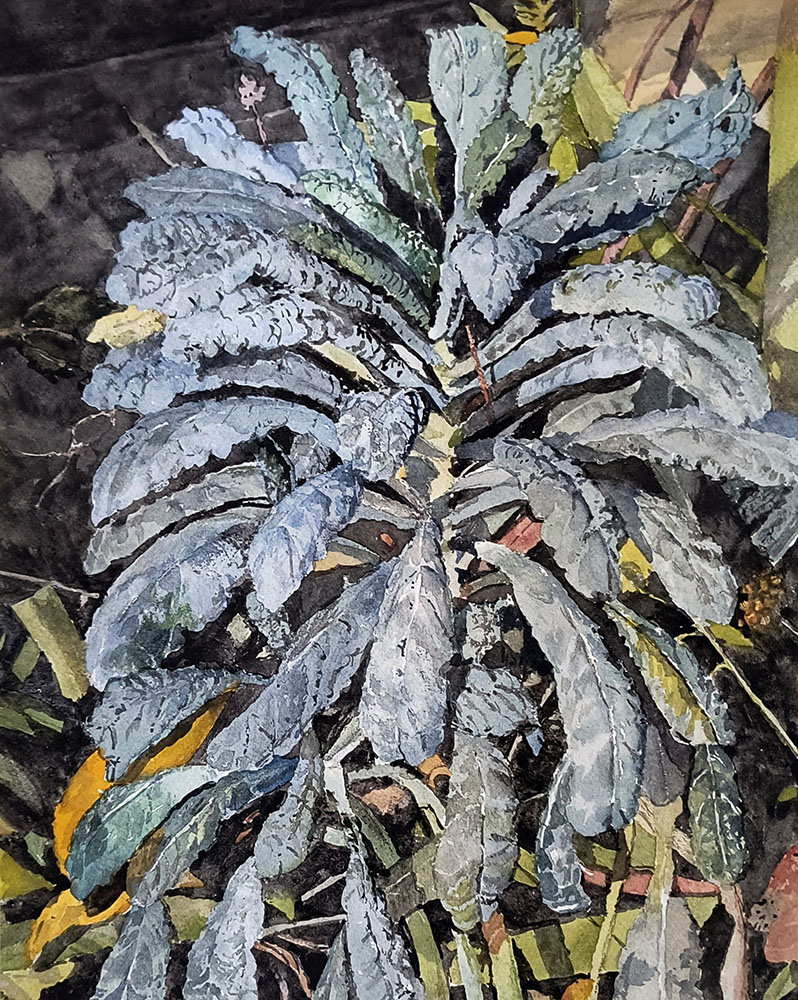 Kale. Watercolor.