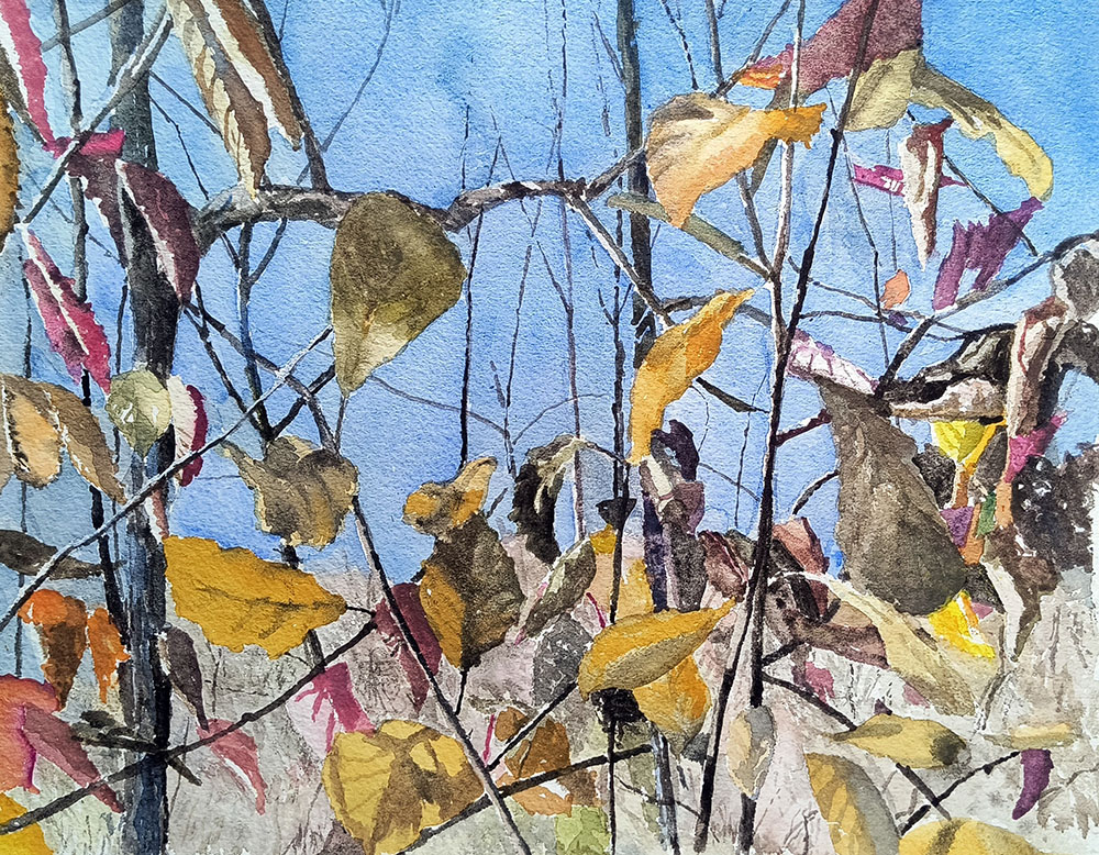 Leaves Against the Sky. Watercolor, 81/2"x 11"