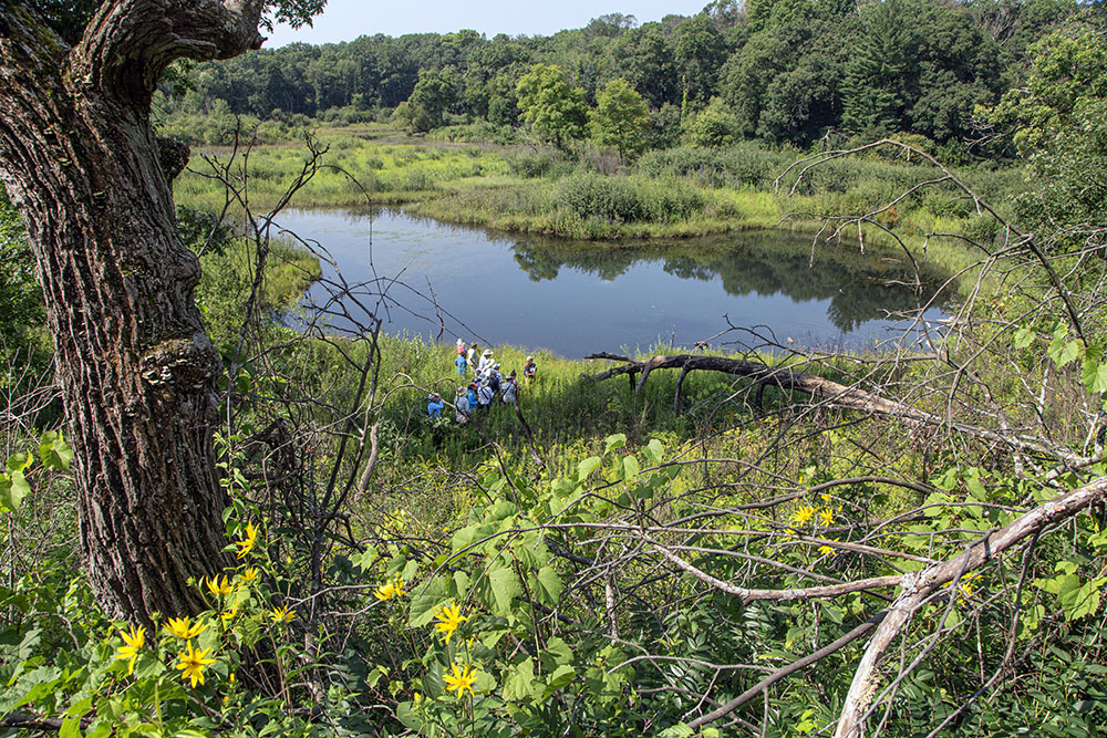 1800-acre Lulu Lake State Natural Area is co-owned by the DNR and The Nature Conservancy. It features a diverse mix of wetlands and uplands shaped by the glaciers, along with over 50 acres of oak savanna, a globally rare ecosystem. The 95-acre kettle lake is accessible by boat from Eagle Springs. The scene above is a small pond at a headwaters spring feeding the Mukwonago River.