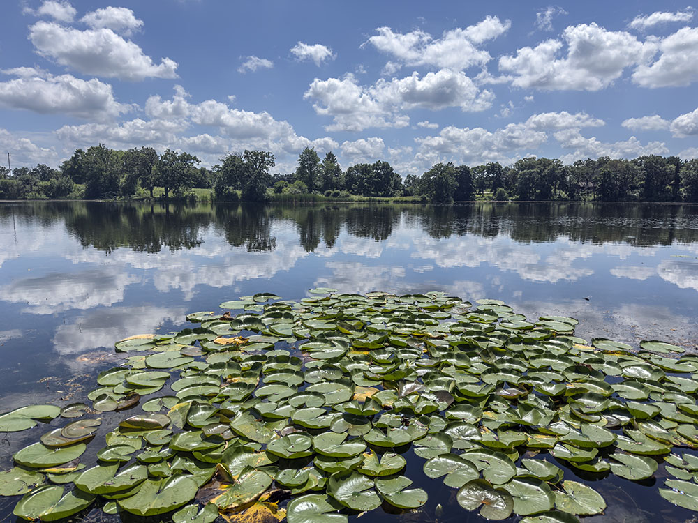 Mukwonago Park. Unlike most of the preserves in this guide, this Waukesha County Park is fully developed for recreation, featuring family and group campgrounds, a beach, picnic shelters, and a dog exercise area, among other things. An entrance fee is required.