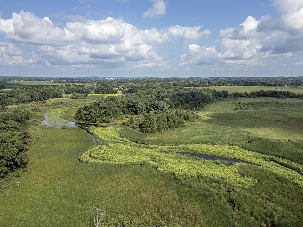 Between Eagle Spring and Phantom Lakes, the river is designated by the DNR as an Exceptional Resource Water, with clear, warm water, a maximum depth of 2 feet and one of the largest wild rice patches in SE Wisconsin. Identified on signage as Mukwonago River Fish & Wildlife Habitat Area.