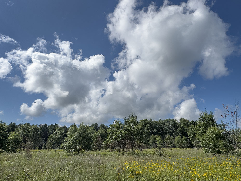 Mukwonago River Oak Barrens. The only preserve in the watershed owned and maintained by The Prairie Enthusiasts. It protects sand barren habitat, one of the rarest ecosystems in SE Wisconsin. It is open to the public, but there is no sign and often a chain across the entrance. Click the link for directions.