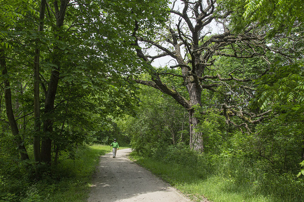 The packed gravel Seven Waters Bike Trail runs the length of 118-acre Saller Woods in Burlington. The trail also winds through nearby Case Eagle Park, where it is paved.