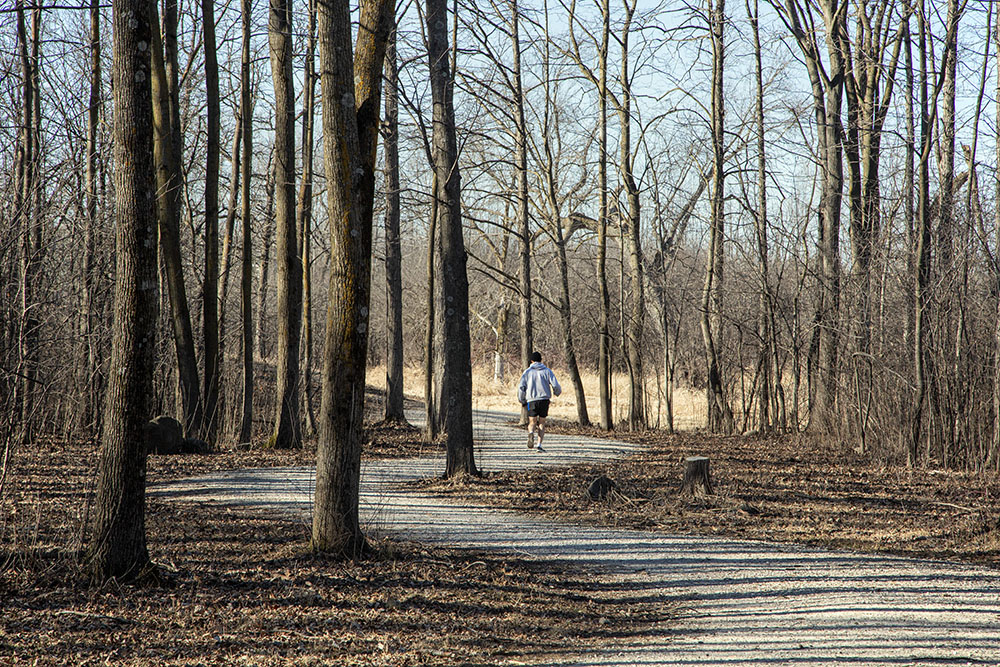 A short, accessible packed gravel trail makes a loop through 39-acre Schoen Laufen Park in Germantown, running alongside the Menomonee River (which is more of a creek at this point) part of the way.