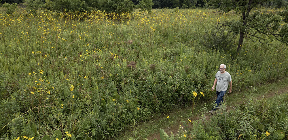 Artist in Residence Tim Ladwig walking on the prairie at Wehr Nature Center