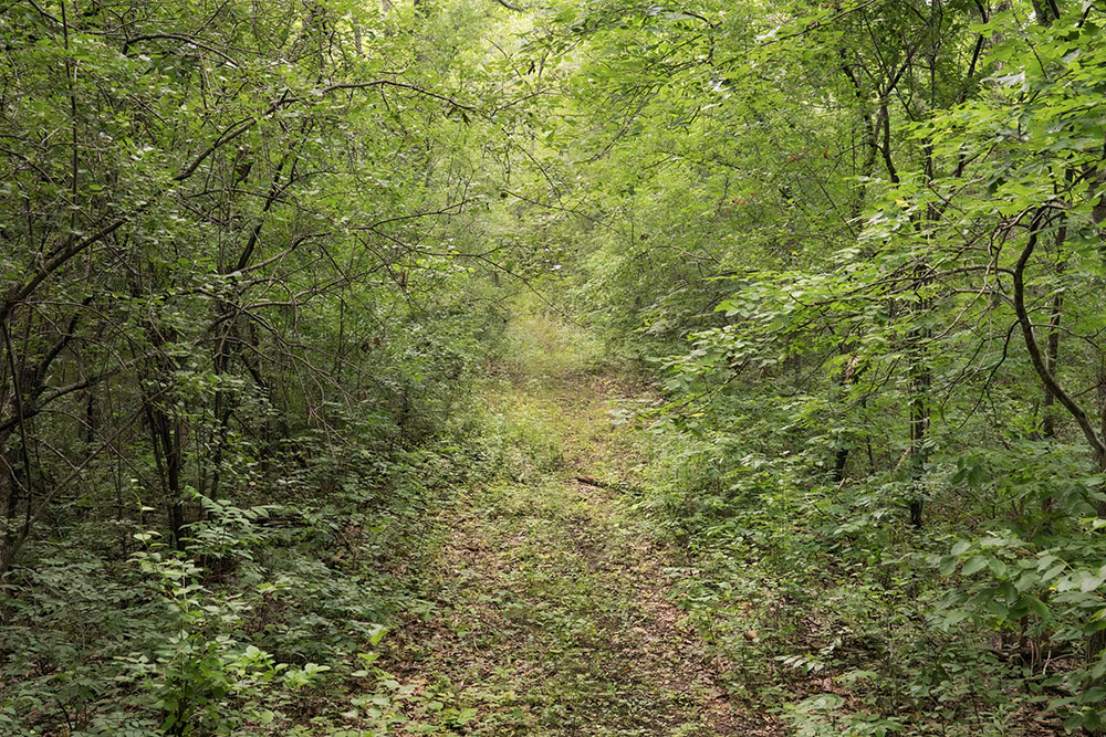 Another trail not taken, waiting for another visit!
