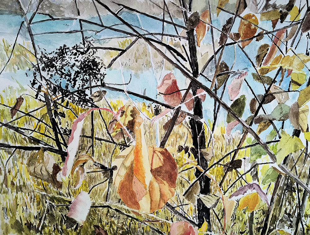 Leaves, Branches, Lake. Watercolor, 11"x 15"