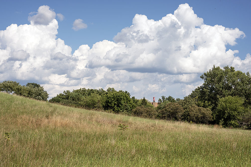 Sometimes I enjoy taking photos of urban parks that make them look like they are anywhere except in a city. I could have done that here at Doyne Park. But instead I chose to include a tiny reminder that this natural-looking setting is in fact in Milwaukee. What you can't see is that the whole park is built on top of a former landfill.