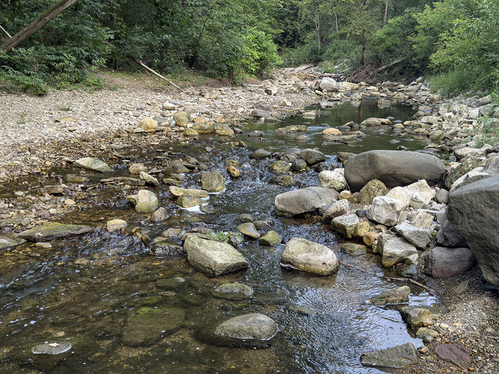 The last half of July saw a drought that reduced area waterways like Honey Creek in Wauwatosa to a trickle.