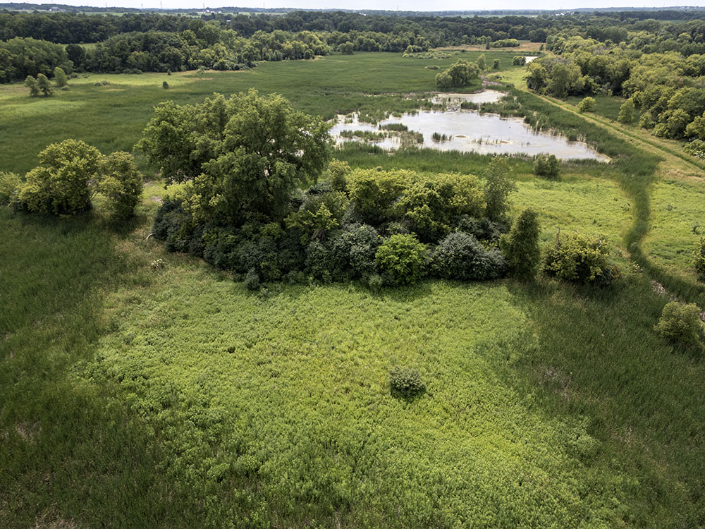 Aerial view of wetlands