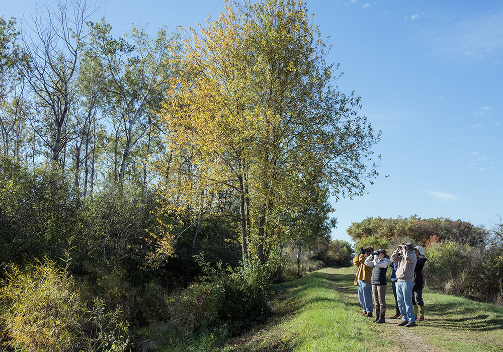A group of birders with the Wisconsin Society for Ornithology on the former rail line at Frankin DC.