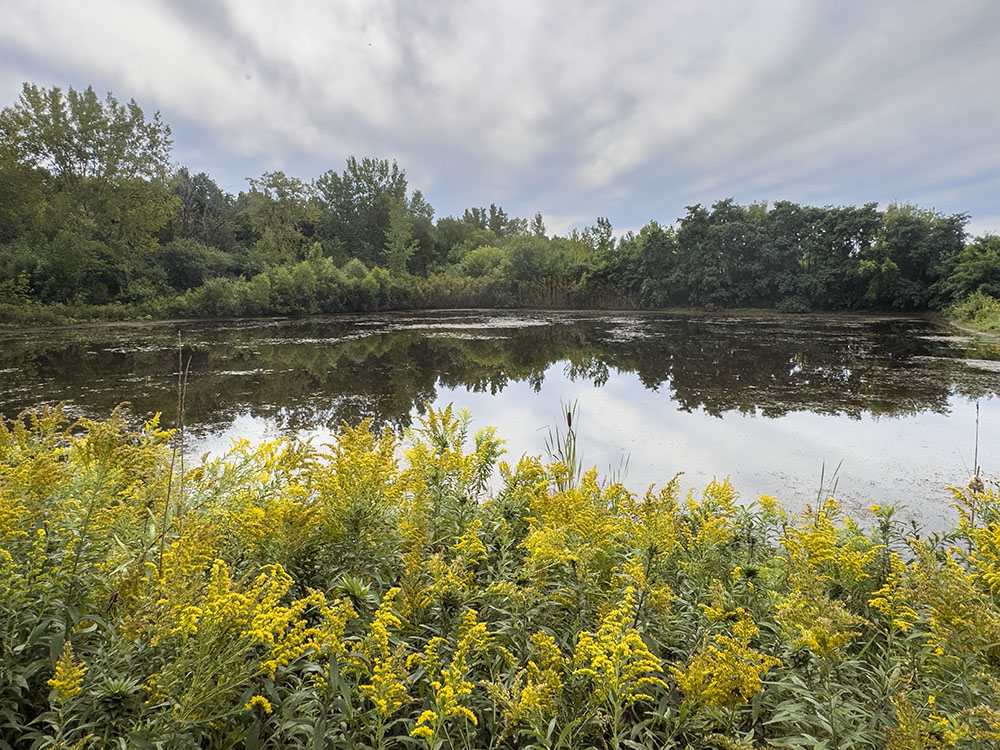 Several small ponds provide a counterpoint to the prairie