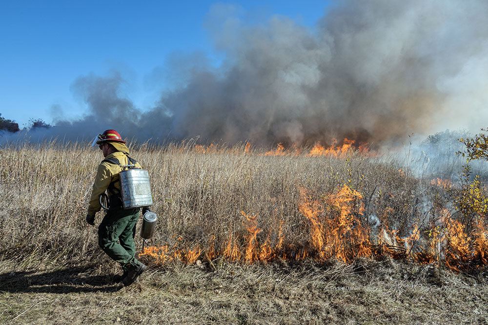 Prescribed, or controlled, burning is one of the tools used in restoring and managing the properties. Burning helps mitigate invasive species and propagate native species that are adapted to fire. This is at the Grall property in Oak Creek.