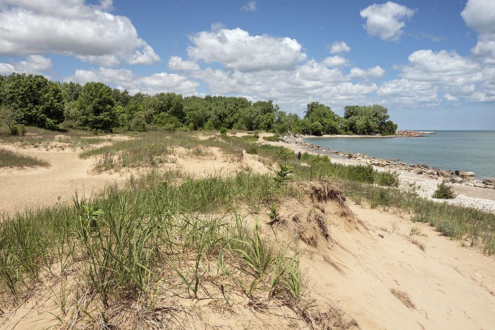 The Kenosha Dunes are the northernmost portion of Chiwaukee Prairie State Natural Area south of Kenosha. It is a rare example of relatively undisturbed lakeshore dune and related habitats in SE Wisconsin.