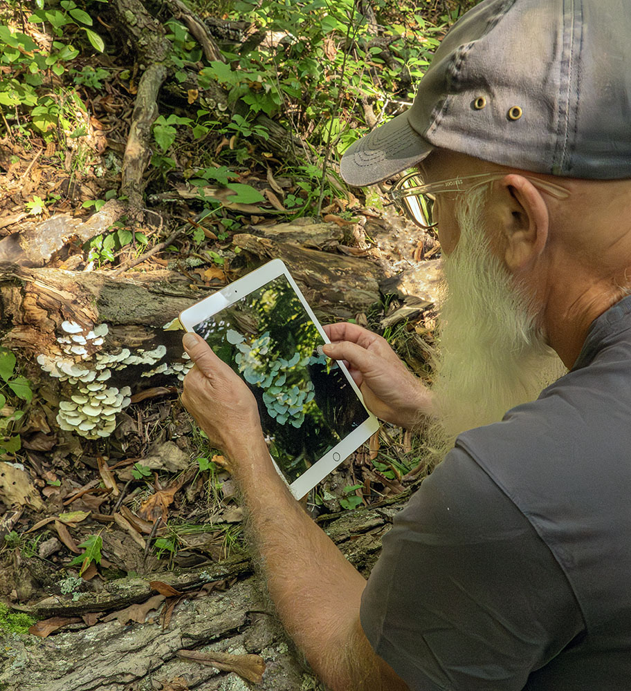 Matt Groshek photographing fungi with his iPad. 