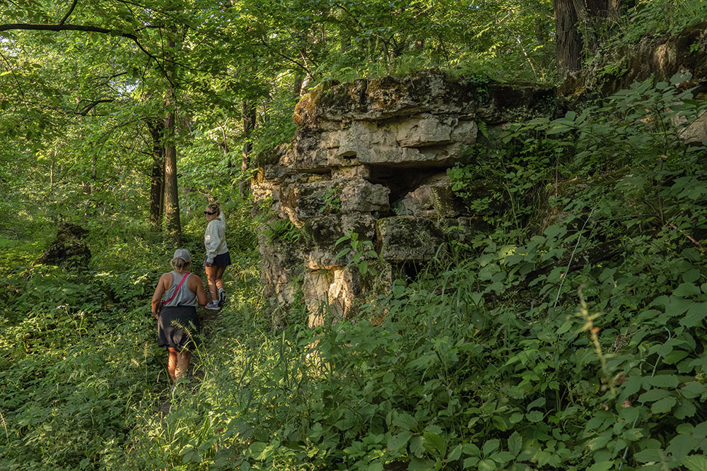 In July I was co-leader with Jessica and Nathan of the DNR of another Natural Resources Foundation Field Trip. This one took in Brady's Rocks, the southernmost outcropping of the Niagara Escarpment (seen here), and a segment of of the Ice Age Trail in the Southern Unit of the Kettle Moraine State Forest. 