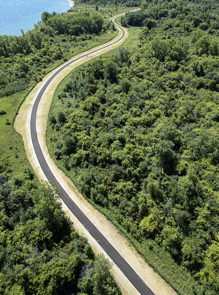 The new trail winding through the wooded southern section of the park.