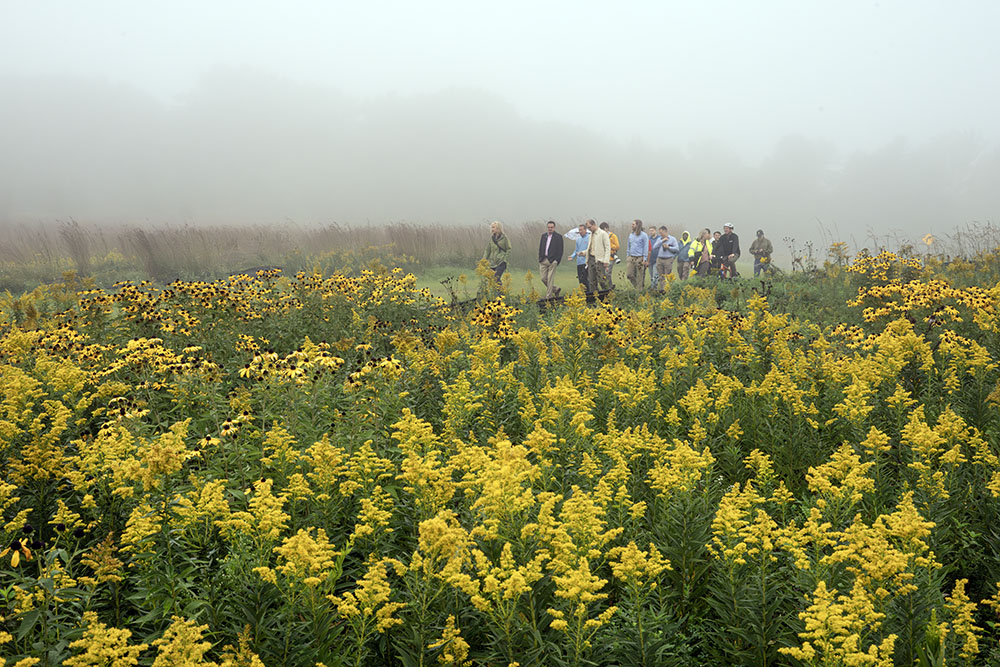 Although views of Lake Michigan were obscured during the inaugural excursion, the wildflowers still blazed in undiminished glory!