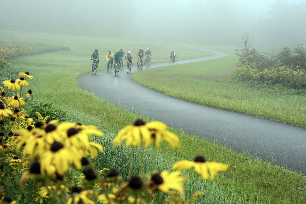 And that takes us back to September. Here we see the inaugural group cycling in the fog. Notice how much the newly seeded vegetation beside the trail has grown already.
