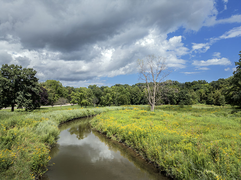 I photographed this scene along the Pike River in Petrifying Springs County Park in Kenosha five years ago when it had been scraped down to bare earth in order to stabilize the riverbanks and restore native species alongside the river. As you can see, the effort worked wonders.