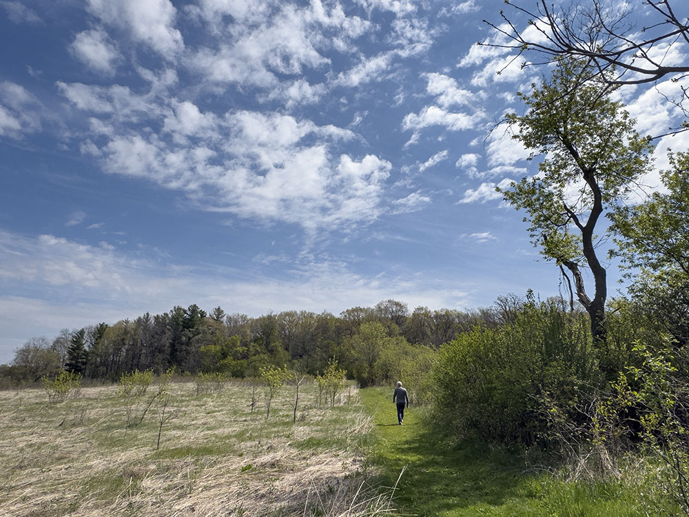 Finding solitude at Ryan Park in Pewaukee. Ryan is one of the few Waukesha County Parks that doesn't require an entry fee. It has a lovely system of trails but no amenities. 
