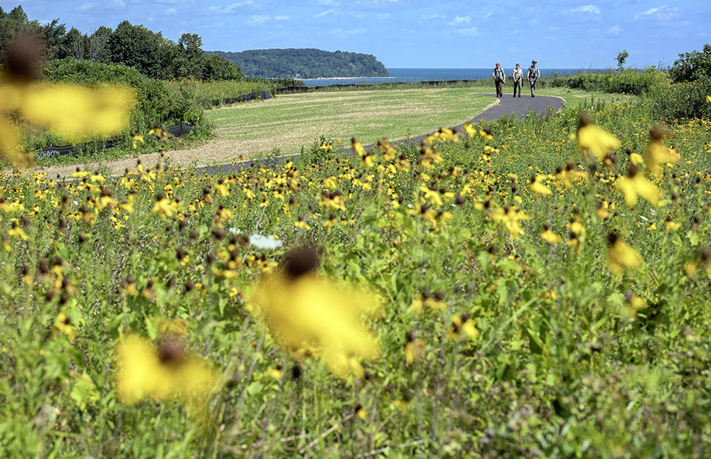 A trio of photographers walk the trail amid the August wildflowers.