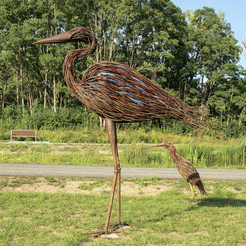 The seven-foot-tall great blue heron and its more diminutive companion, a little green heron.