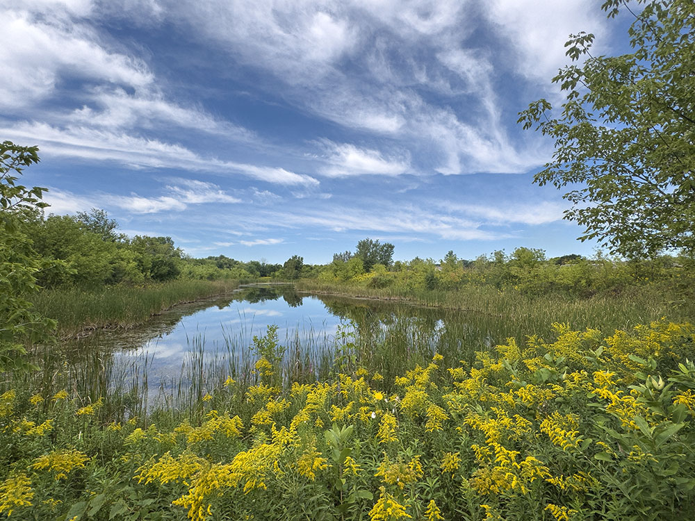 Pond and clearing sky
