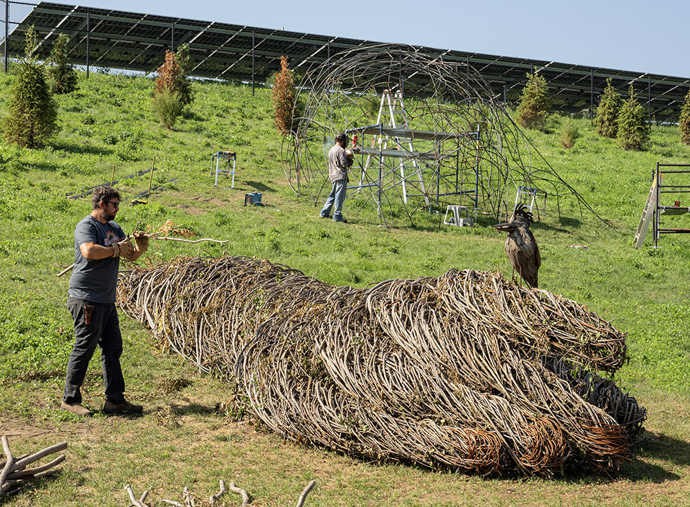 Walk the Willow artists Justin Roberts, foreground, and Nathan Kennedy, working on the unfinished sculptures. Kennedy, background, is welding the steel structure that supports the bent willow "skin" of Sacred Rhythm Mother's head, while Roberts adds a willow branch to the arm.