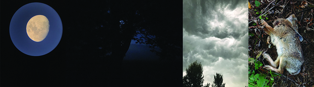 I am alive; at this moment, in this place :: weather/wander ; 9"x32", 2022