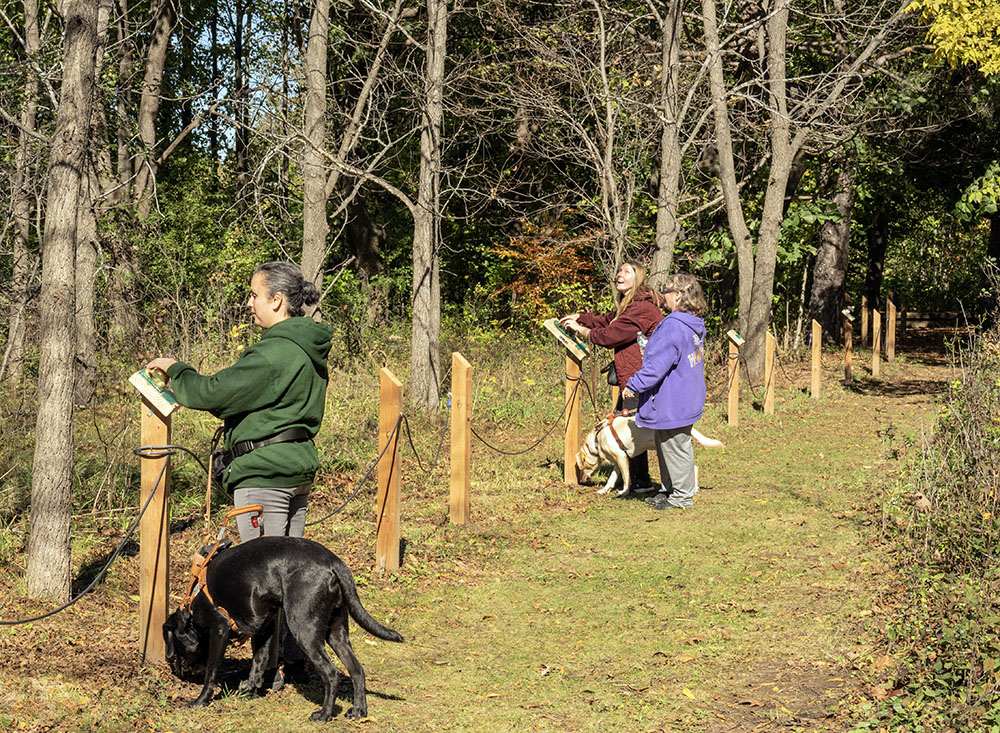 Blind visitors, accompanied by their guide dogs, making their way along the new Braille Trail at the opening.