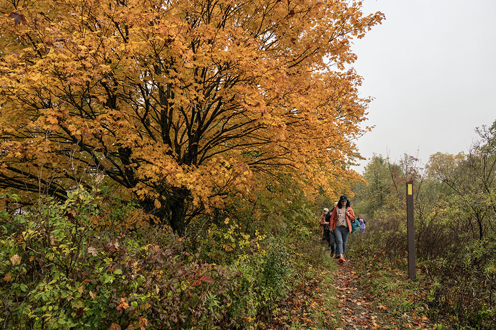 The Ice Age National Scenic Trail runs along the top of a glacial esker.
