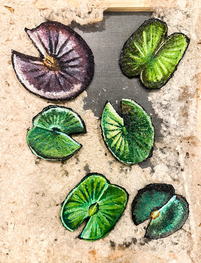 Finished and epoxied Lily Pads, mixed media on hand-made paper.