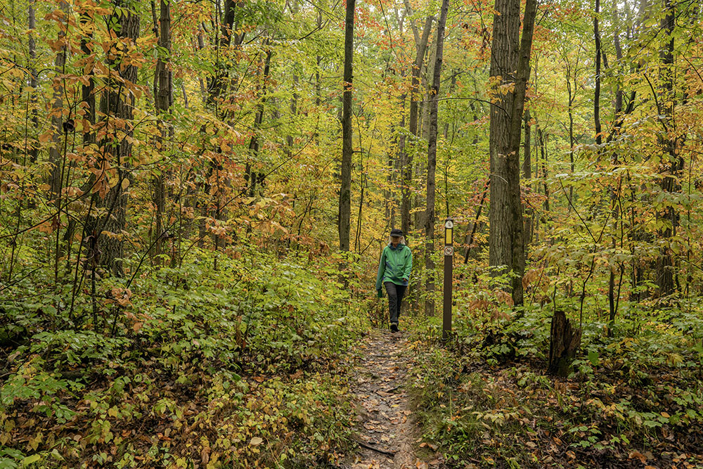 The Ice Age Trail, in autumn glory, intersects the red Greenbush Trail.