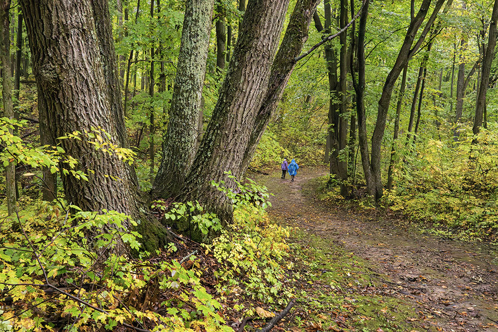 The trail meandered this way and that....