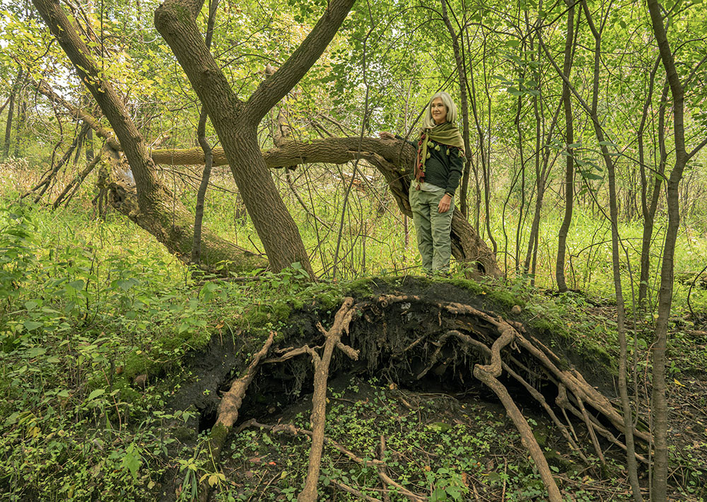 Judith in the trackless upland woods. 