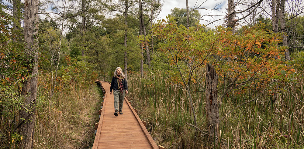 Artist in Residence Judith Gahn Murphy on the boardwalk at Zinn Preserve