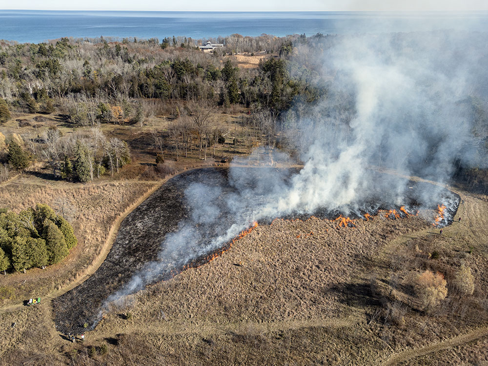 An aerial overview of the burn site, which was on the west end of the property. The rest of the Center and Lake Michigan are visible in the background.