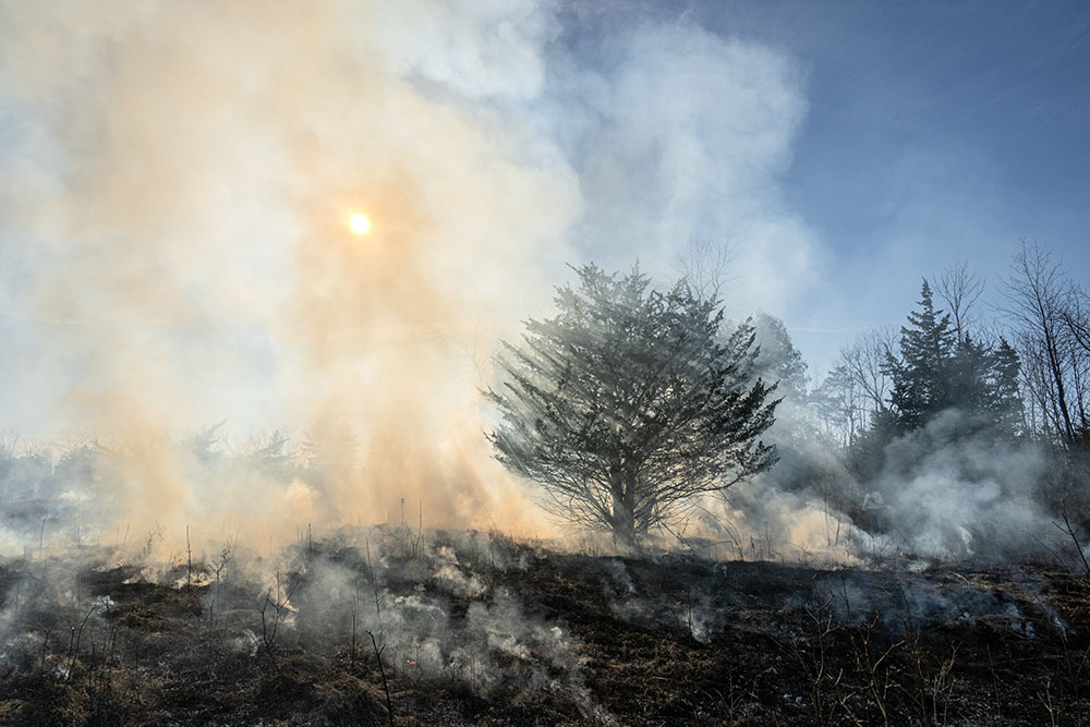 As the burn winds down most of the vegetation on the prairie leaves behind ashes that benefit the regrowth of native species.