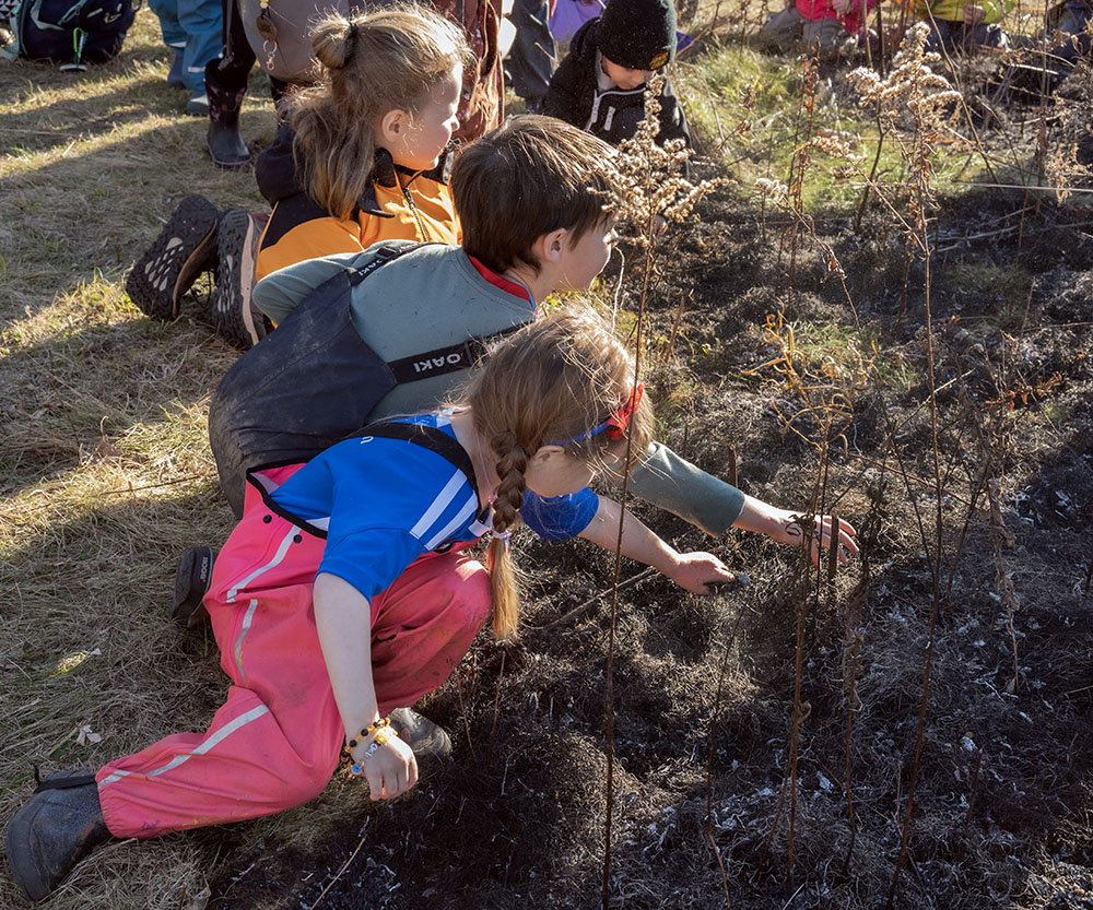 Children were shown how to safely check for any smoldering or existing heat with the back of their hands before we gave them the okay to touch the cooled ash.