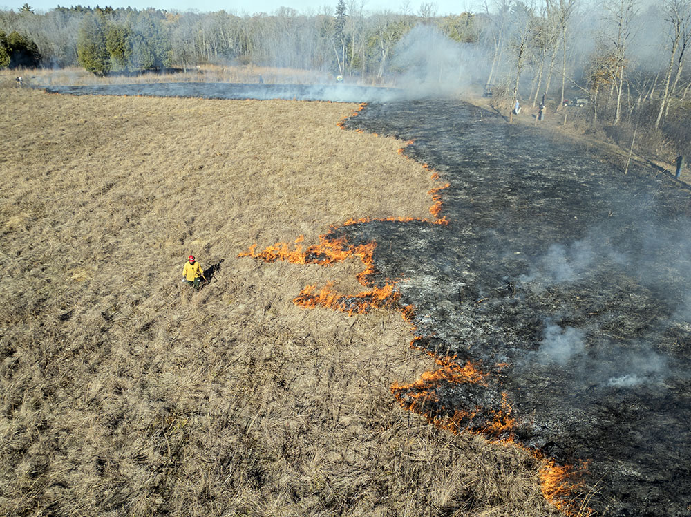 Aerial view of the early stages of the burn.