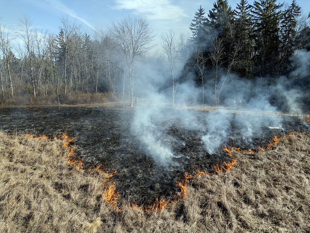 Aerial view of the burn