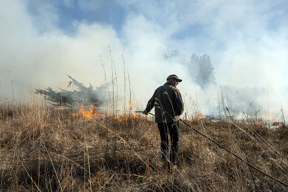 A volunteer uses a hose connected to a water tank on an ATV to spray a bush in the burn area.