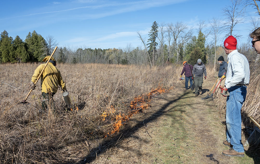One of the trained professionals uses a drip torch to ignite the burn.