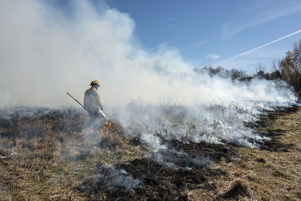 A burn crew member walks across the smoking field.