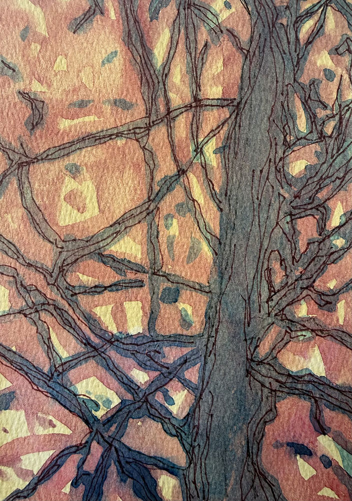 Sketch book painting from Zinn Preserve.