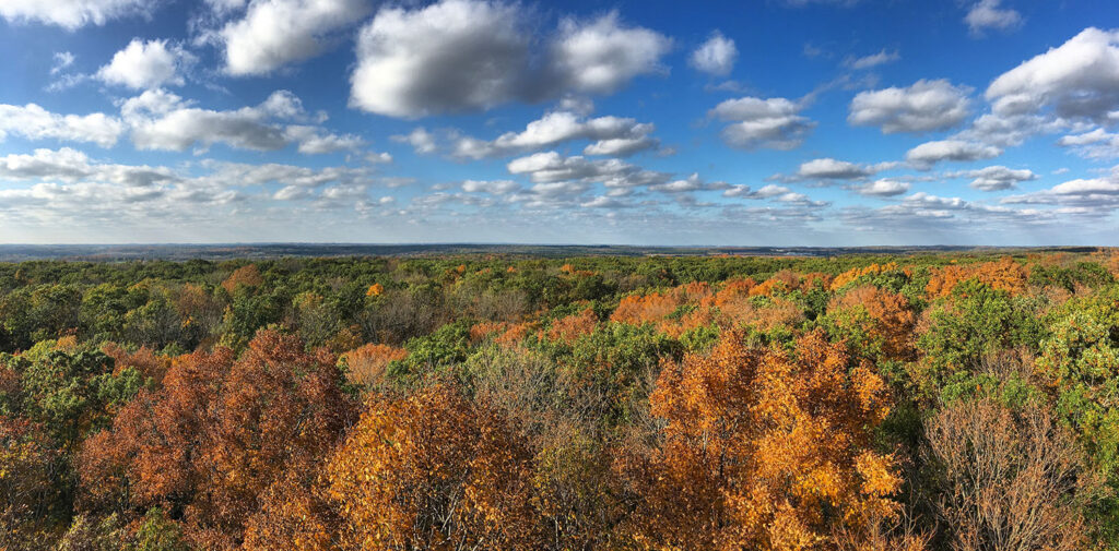 A panoramic view from the top of the Parnell Tower on a clear day (shot on a previous visit!)
