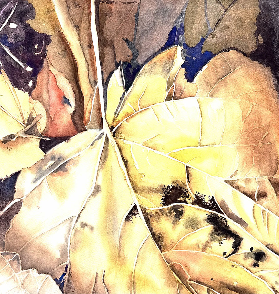 Fallen Leaves, watercolor, 2025, 14 x 14