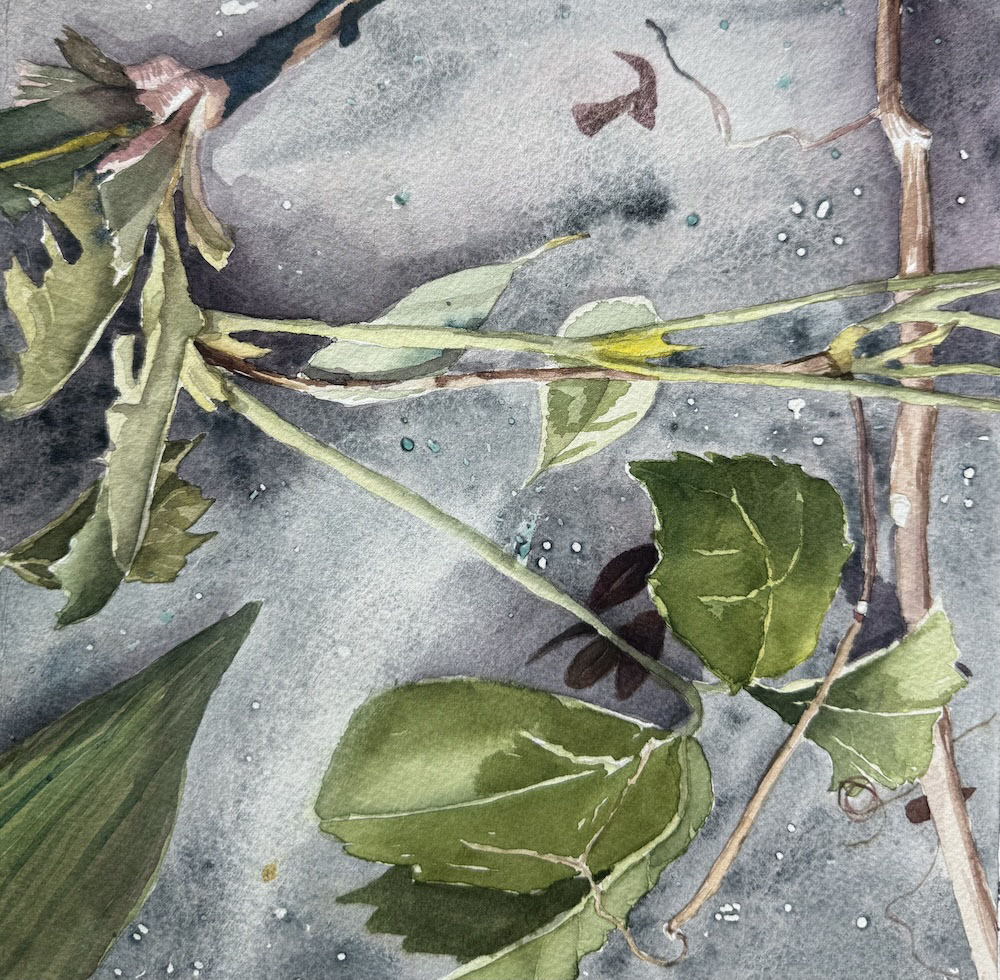Some of My Parts I, diptych watercolor, 2026, 10 x 10